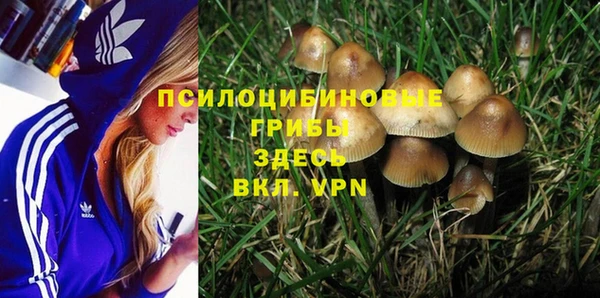 стафф Краснотурьинск