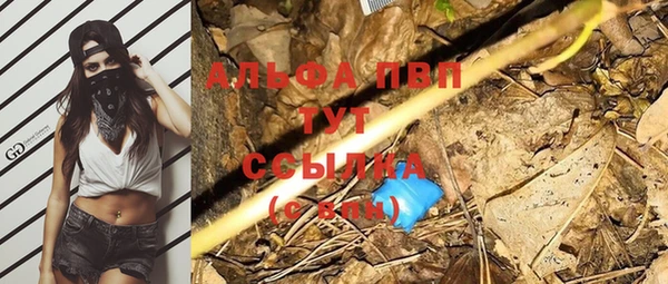 PSILOCYBIN Костерёво