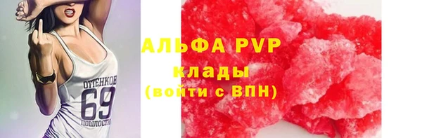 хмурый Алзамай
