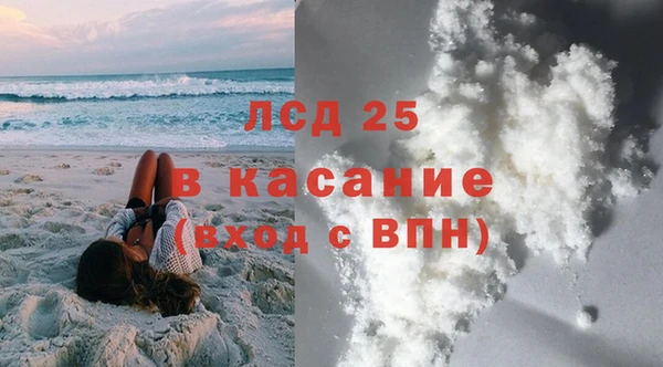 хмурый Алзамай