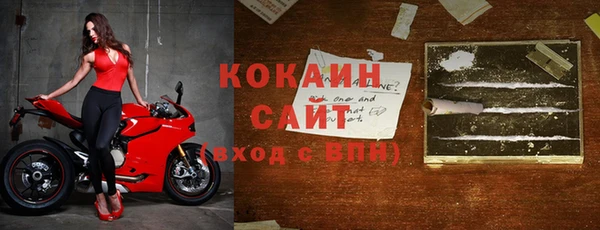 хмурый Алзамай