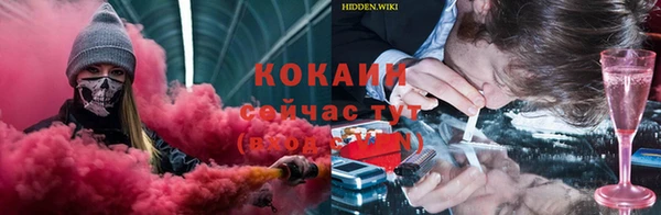 молекула духа Алексеевка